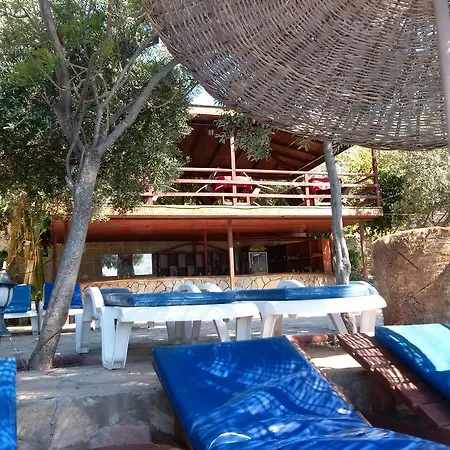 Mete ボズブルン