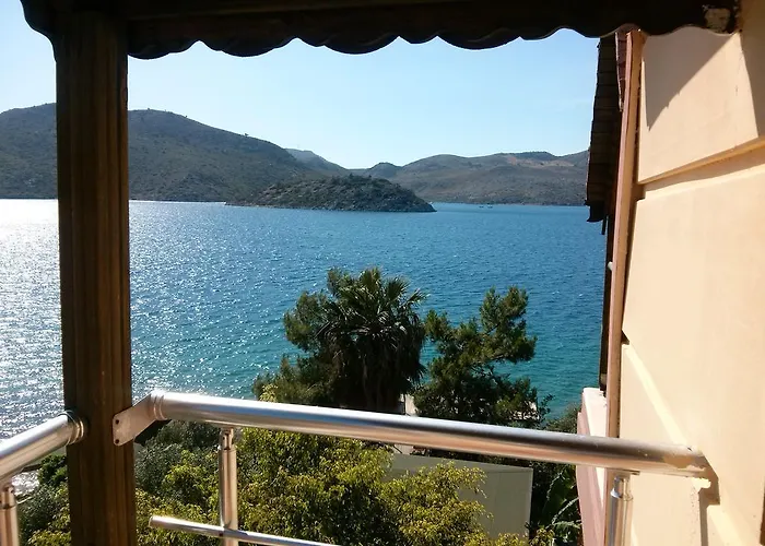 Mete ボズブルン