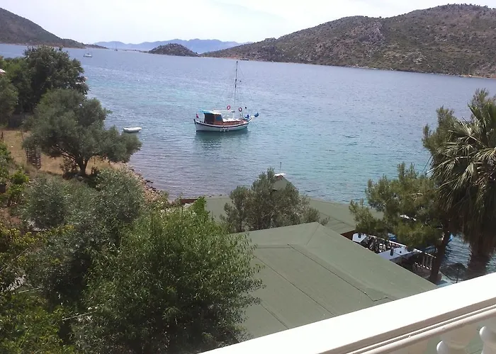 Mete ボズブルン